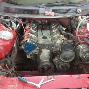 IMAG4011