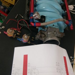 IMAG5043