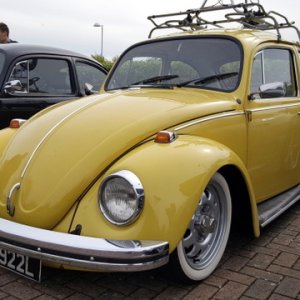 14 BEETLE1