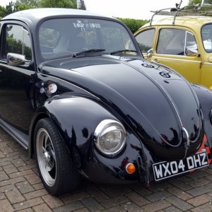 16 BEETLE3