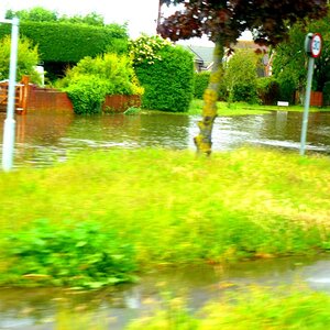 crooked lane, Birdham