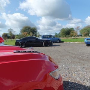 SAM_5717.JPG