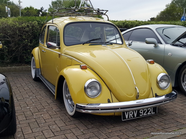 15 BEETLE2