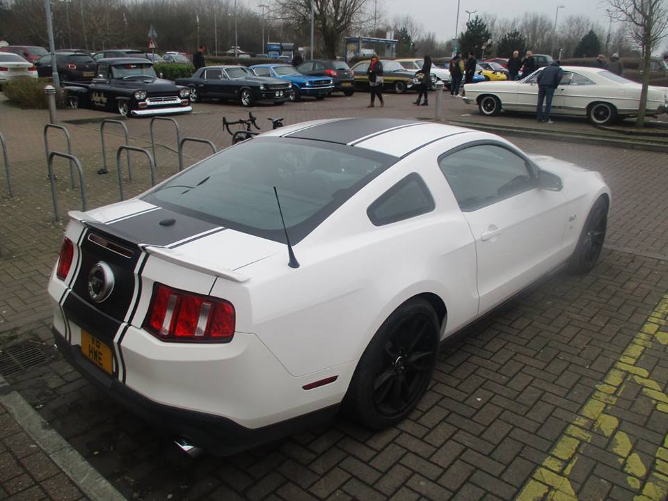 16508660 1858851717685675 154281312644963158 n