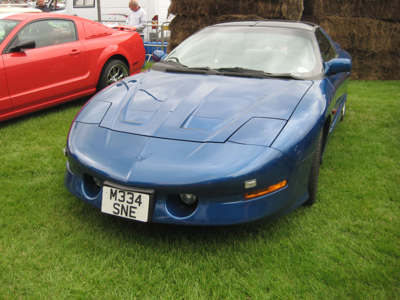 261
