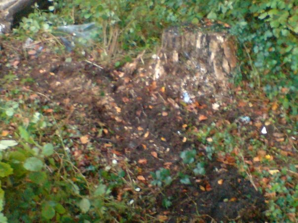 7534 167518477872 5035466 n