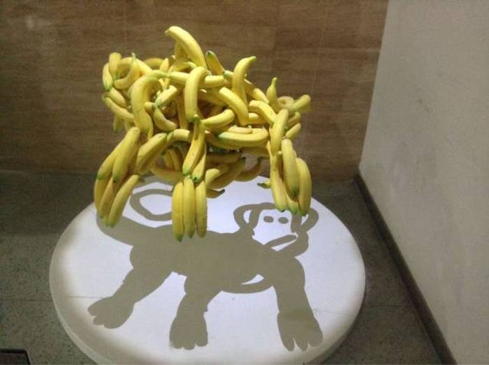 acid picdump 0
