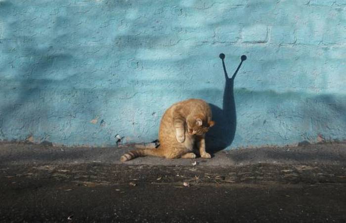 acid picdump 1