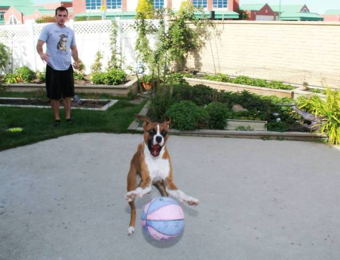 acid picdump 1