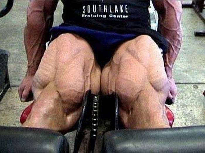 acid picdump 1