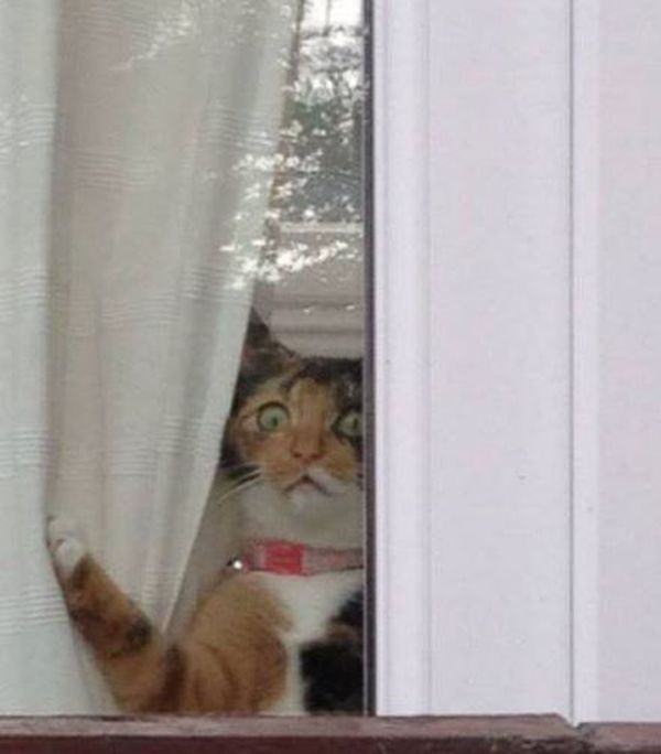 acid picdump 4