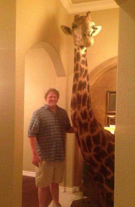 acid picdump 4