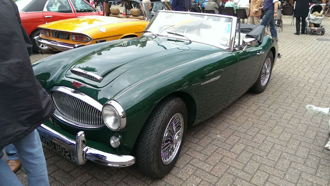 Alton 2013 108