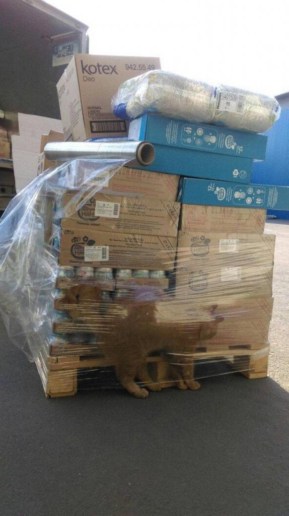 amazon prime order is here