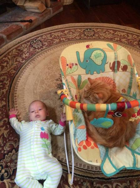at least the cat is teaching the new generation to toughen up