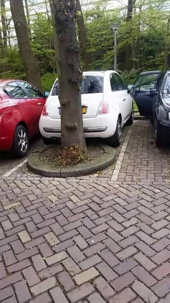 available parking is tough in this neighborhood