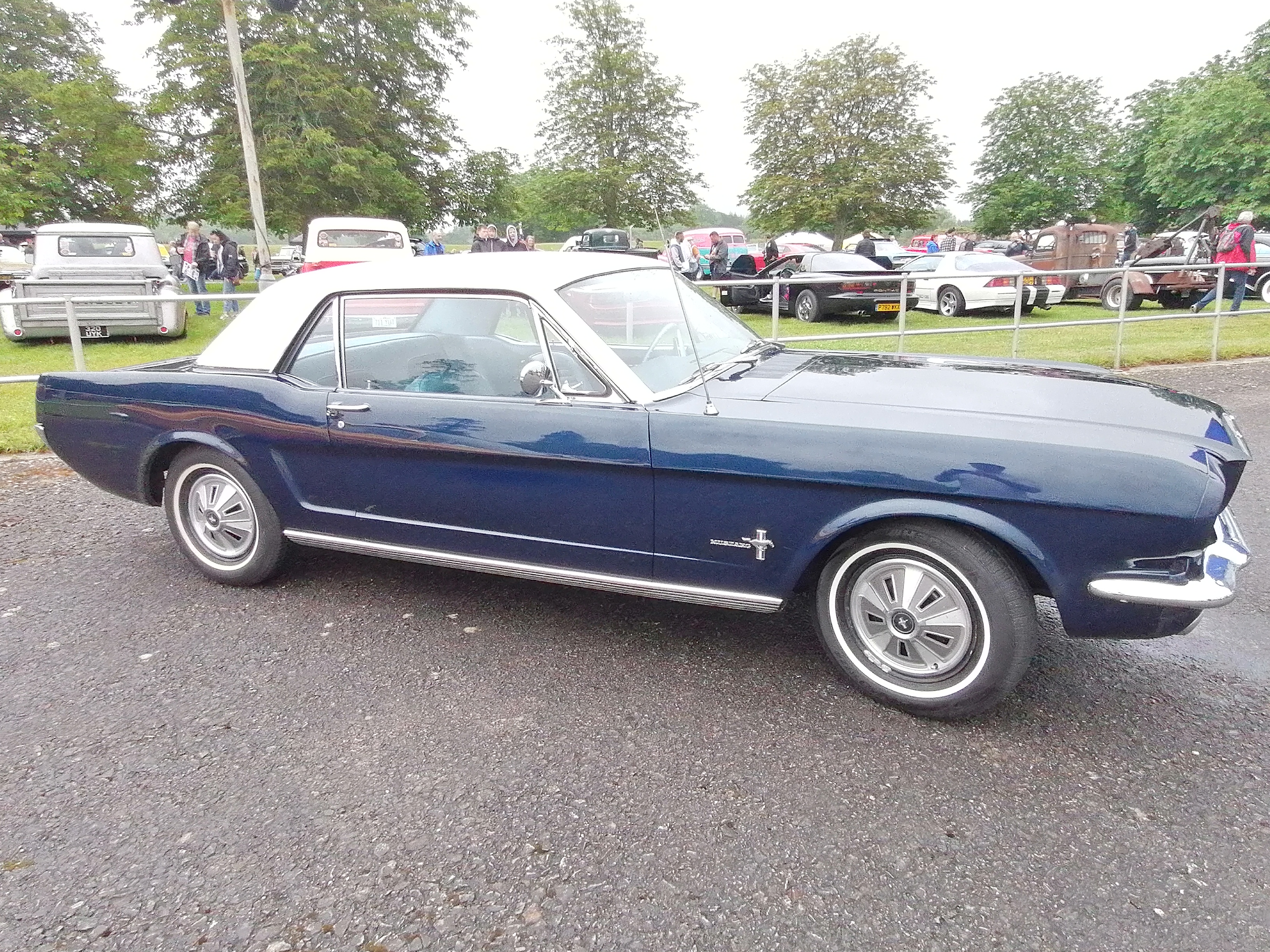 Beaulieu-20-06-21_079.jpg