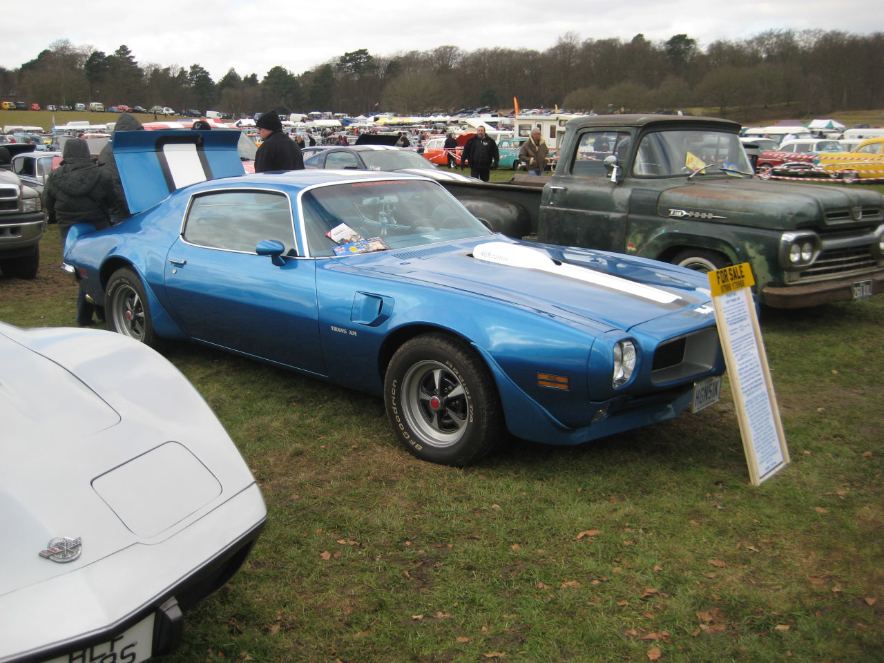 Bullnose Trans-Am