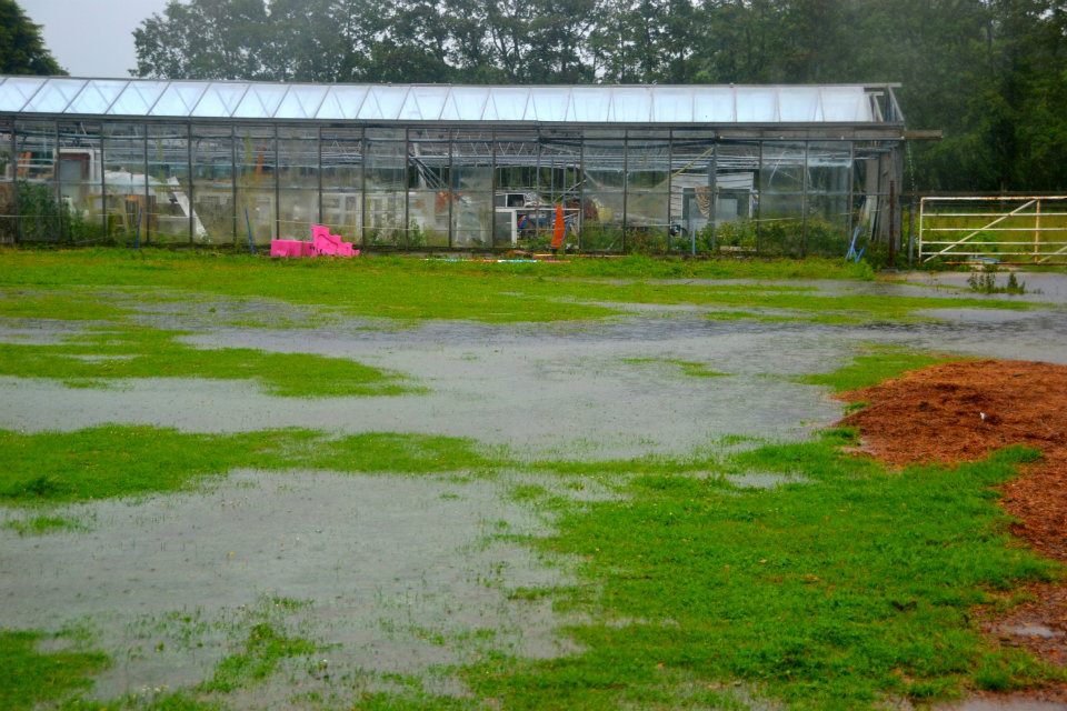 camping field