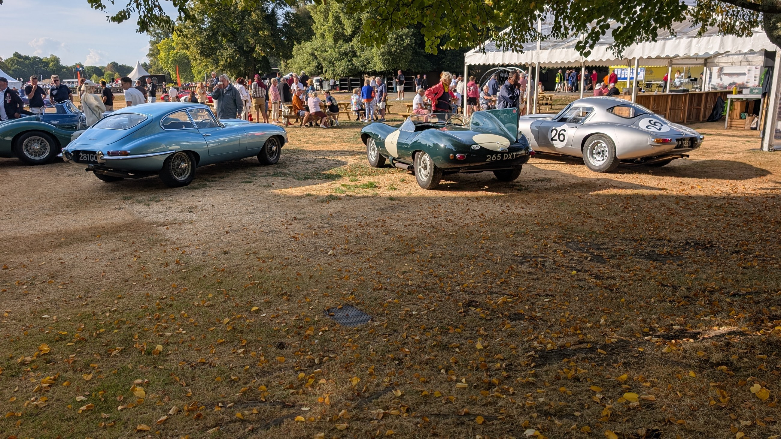 Canford_2026_006.jpg
