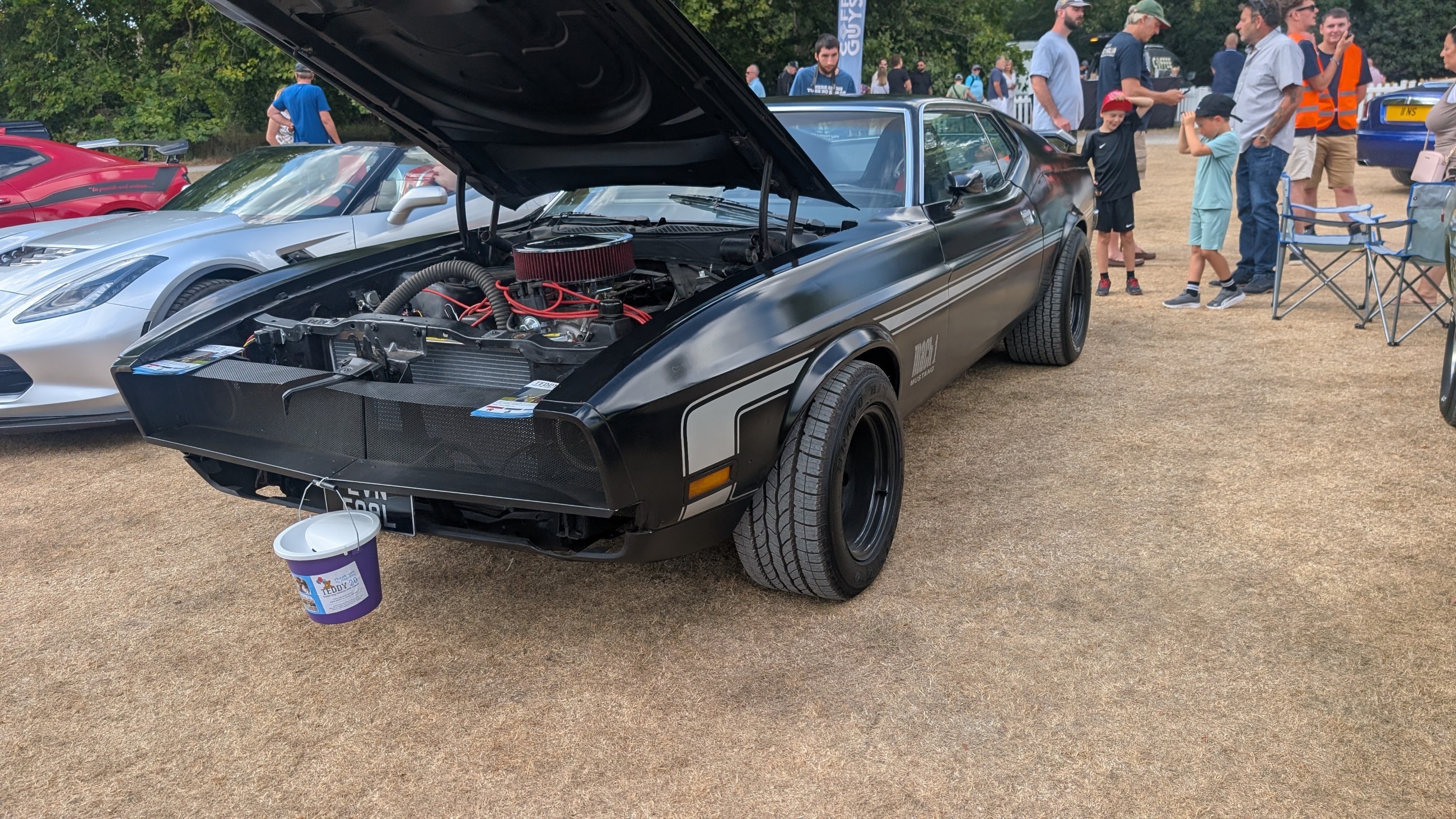 Canford_2026_013.jpg