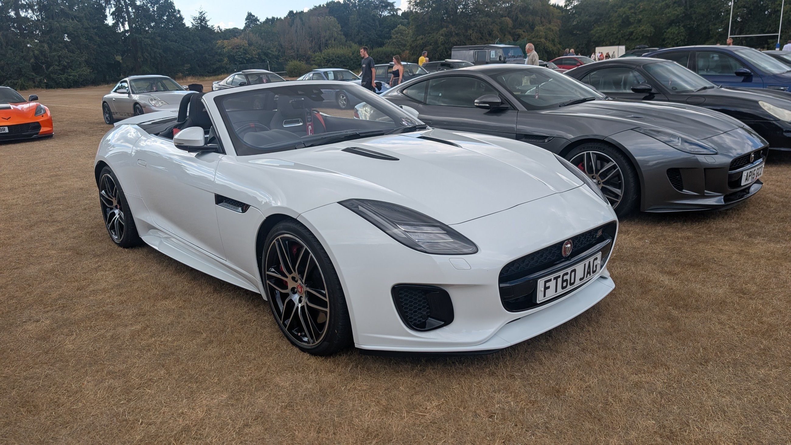 Canford_2026_101.jpg