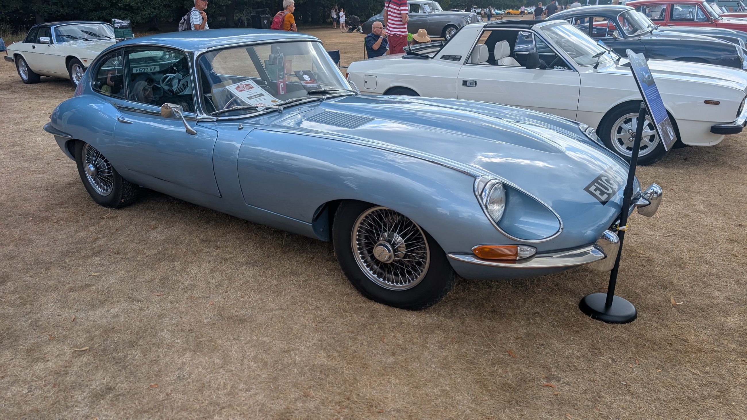 Canford_2026_142.jpg