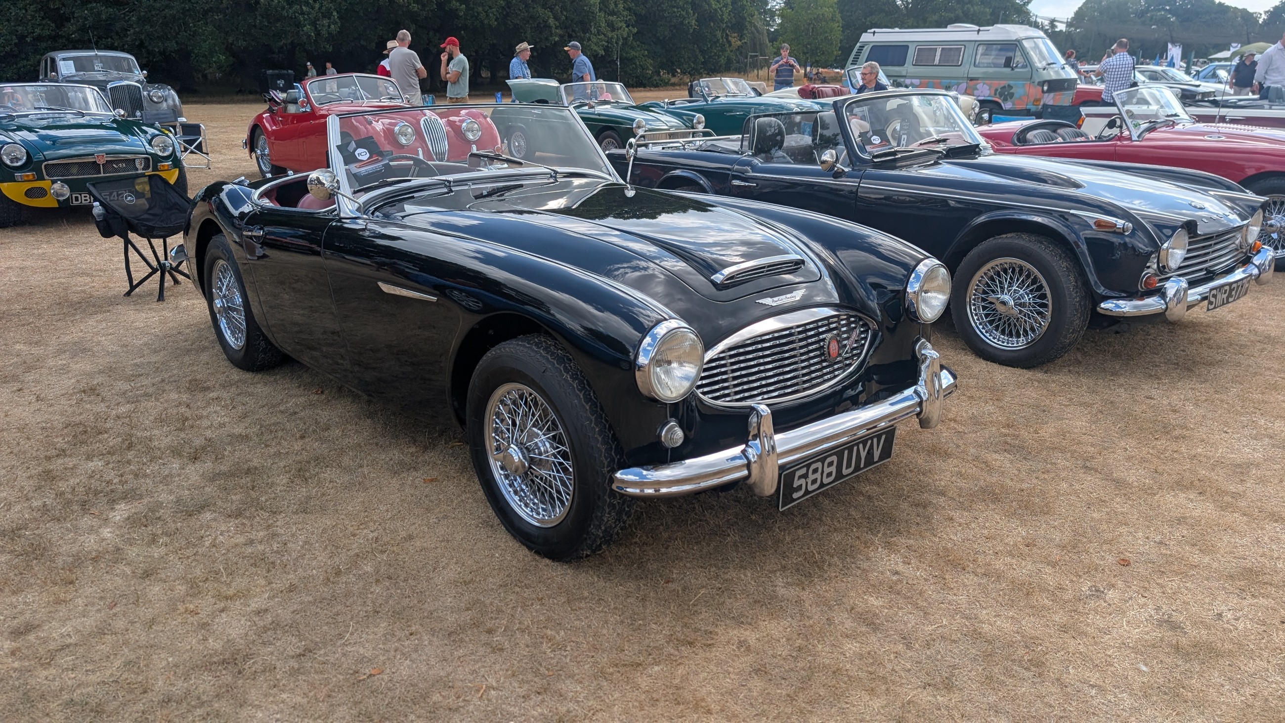 Canford_2026_151.jpg