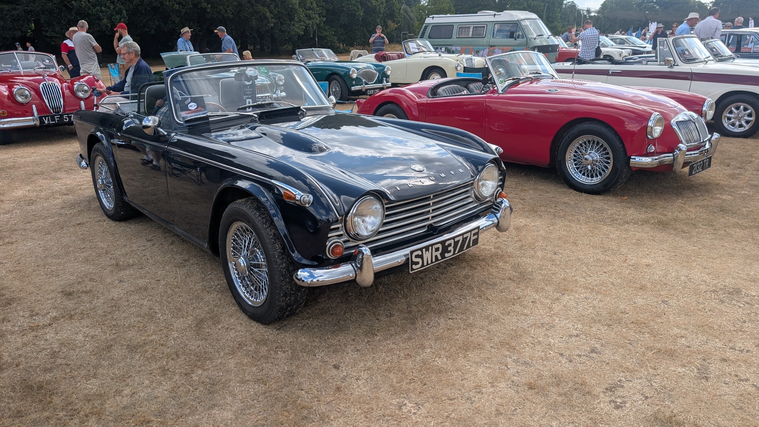 Canford_2026_152.jpg