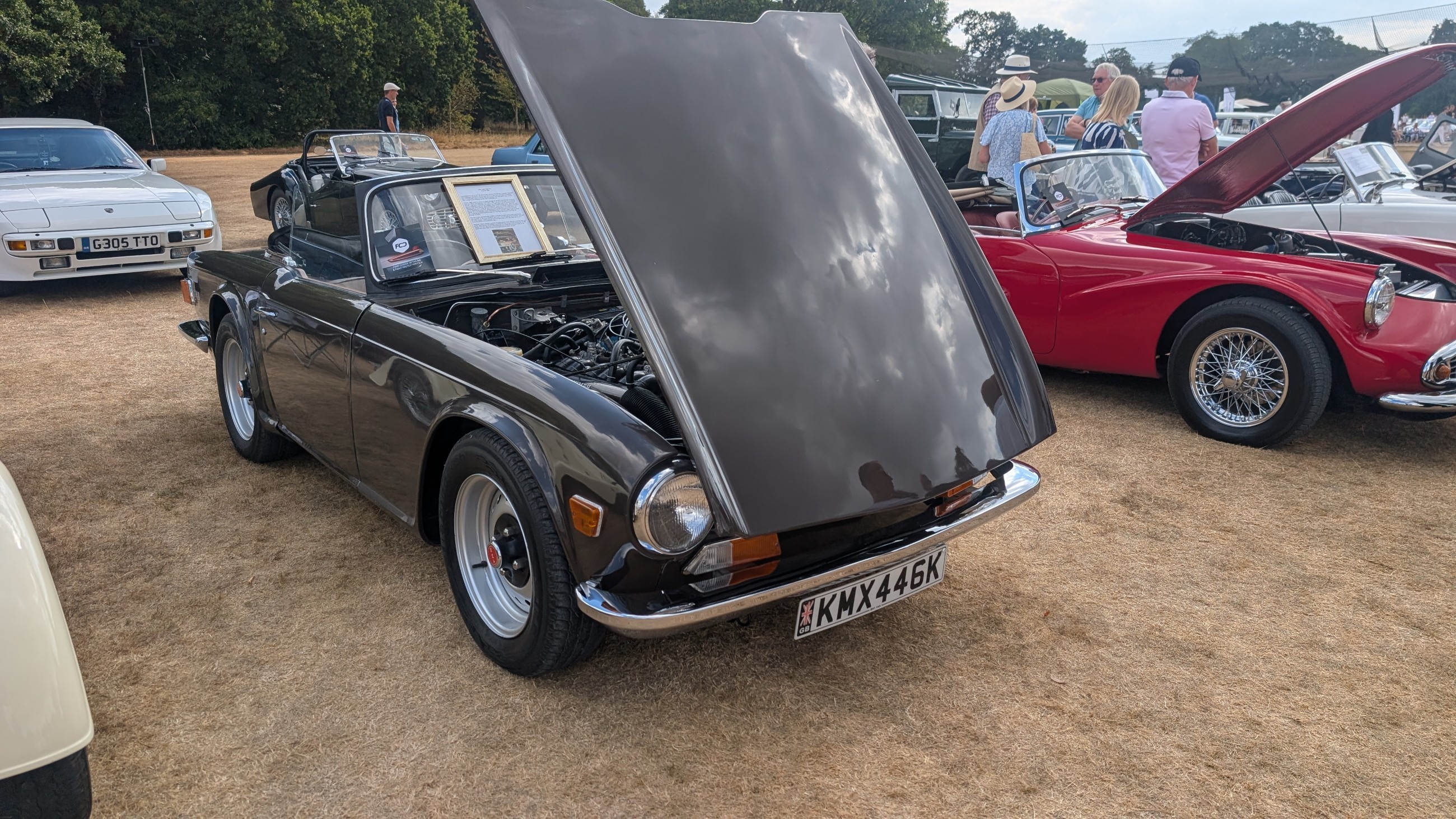 Canford_2026_159.jpg