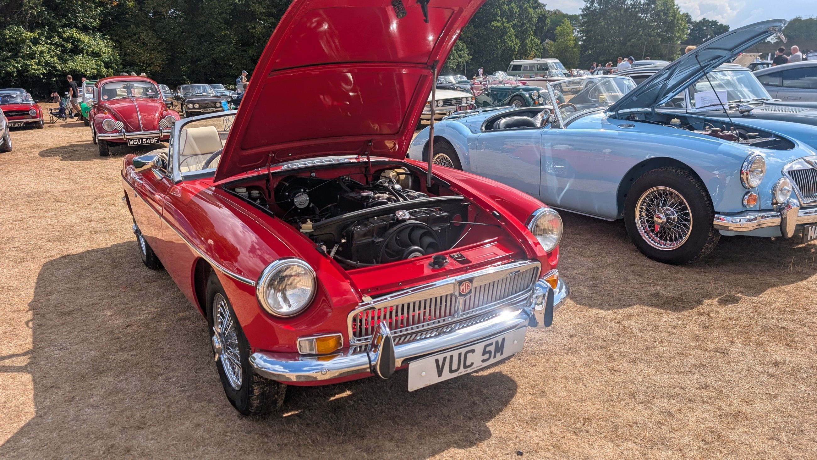 Canford_2026_190.jpg