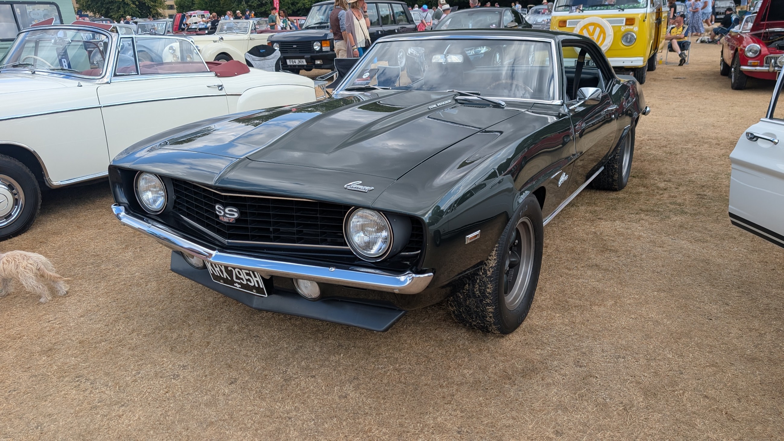 Canford_2026_269.jpg