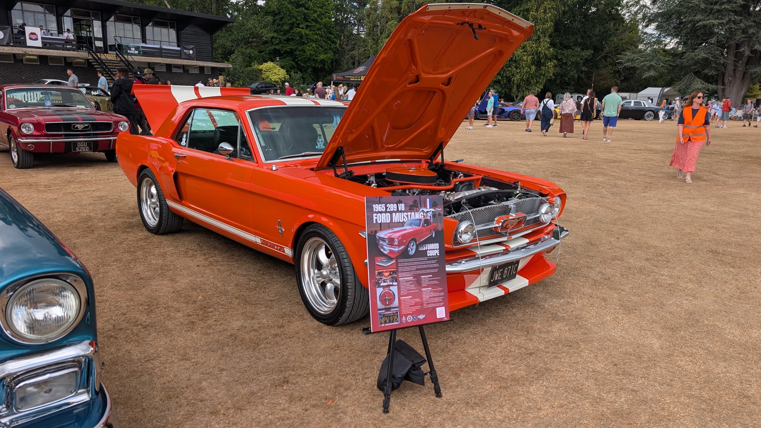 Canford_2026_282.jpg