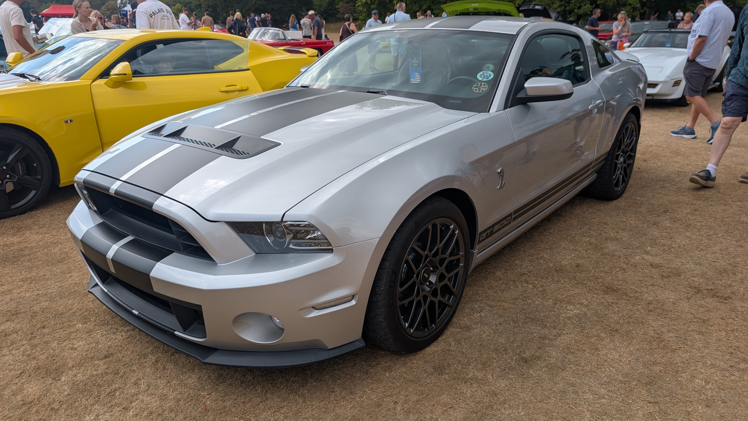 Canford_2026_302.jpg
