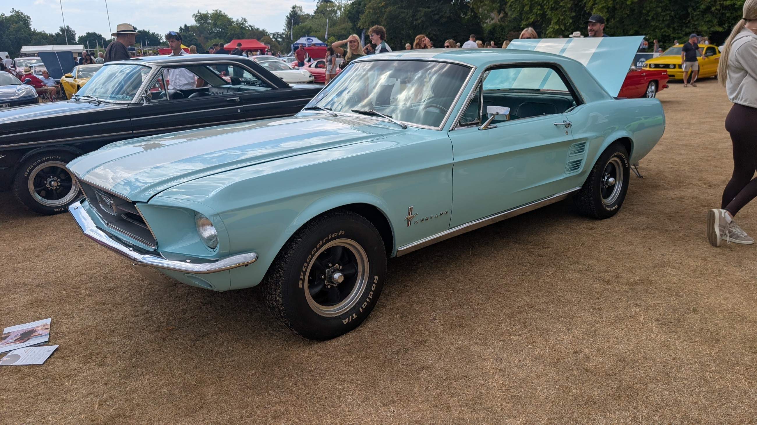 Canford_2026_304.jpg