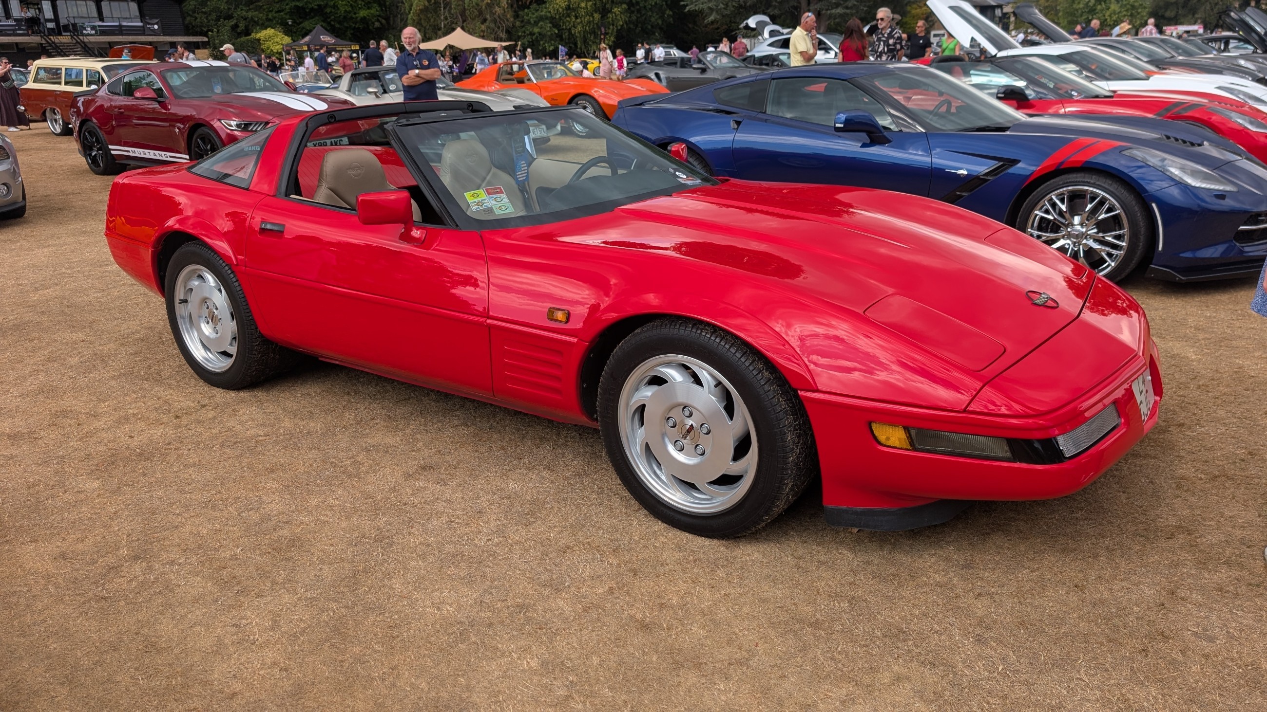 Canford_2026_309.jpg