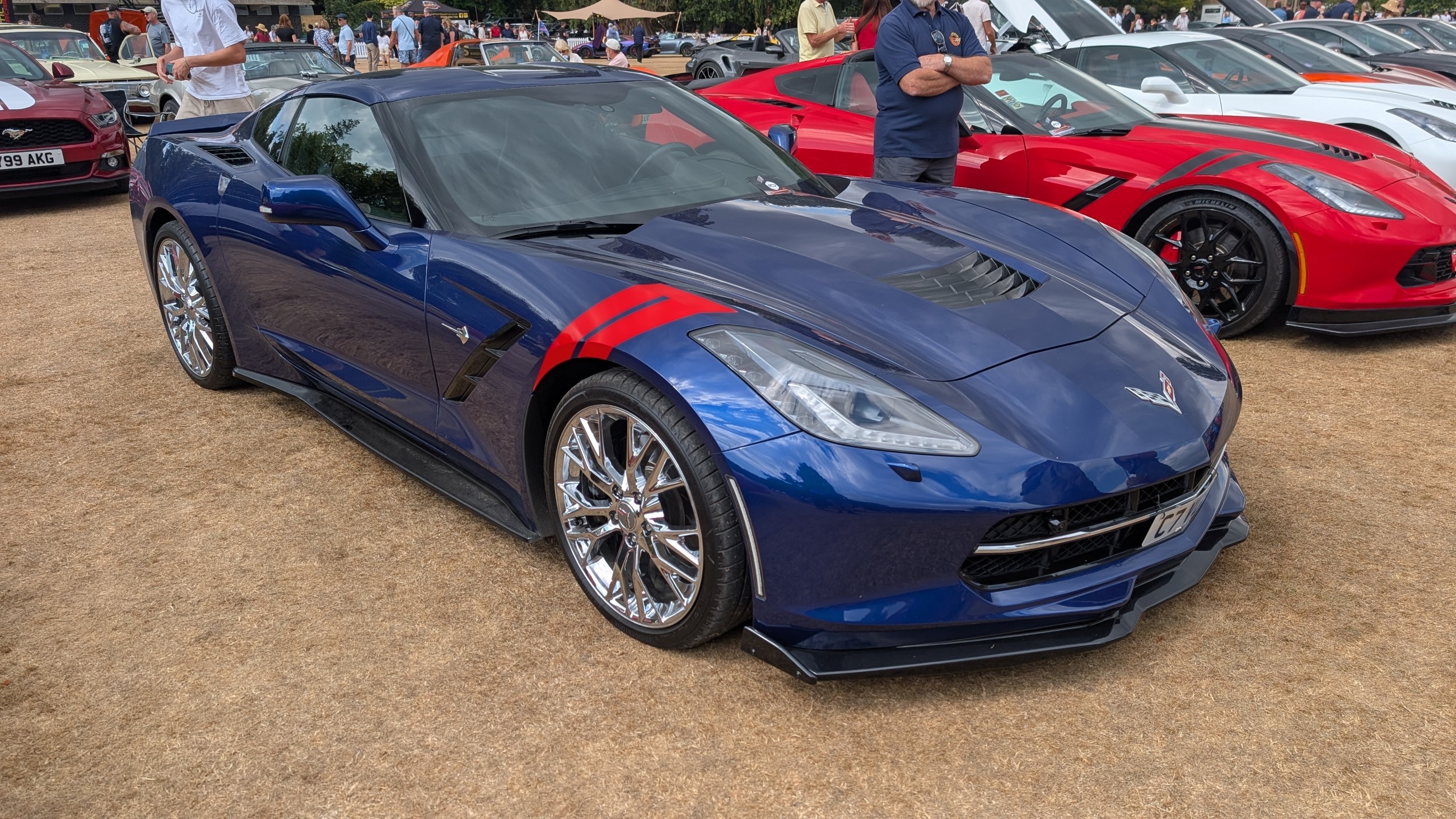 Canford_2026_311.jpg
