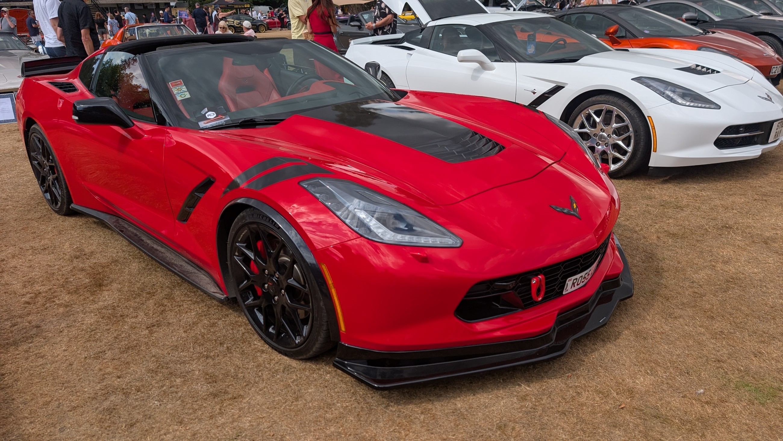 Canford_2026_312.jpg