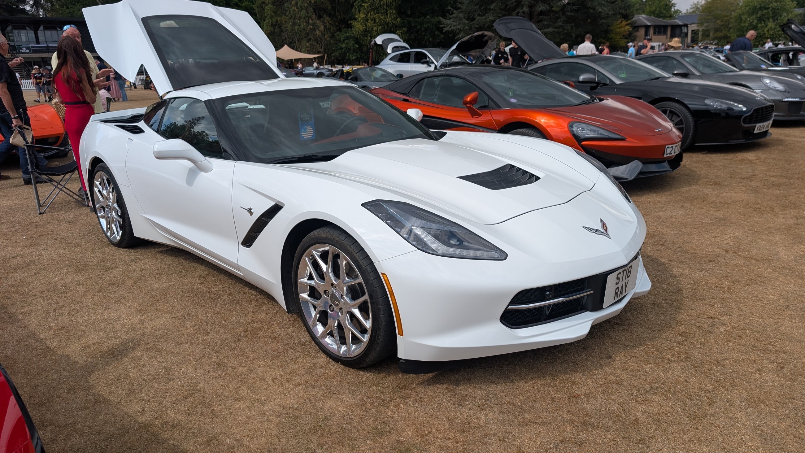 Canford_2026_313.jpg