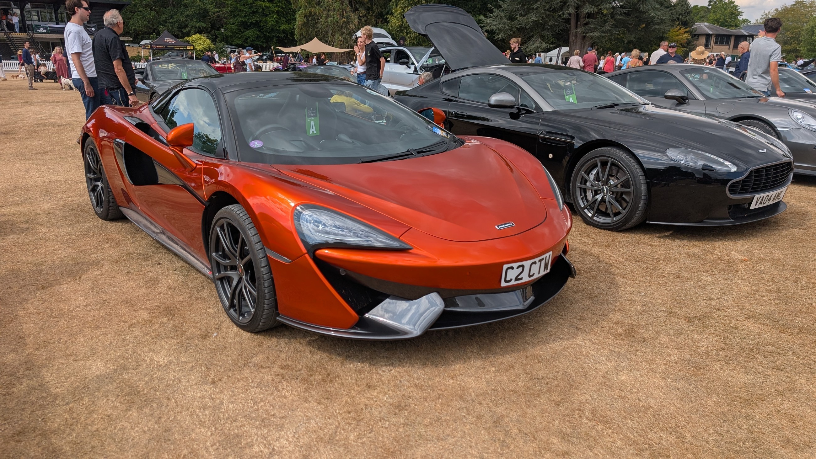 Canford_2026_314.jpg