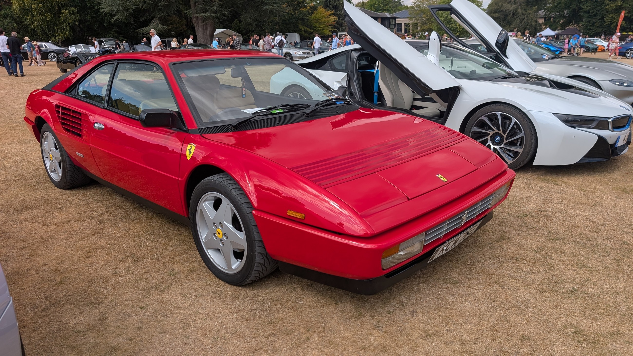 Canford_2026_321.jpg