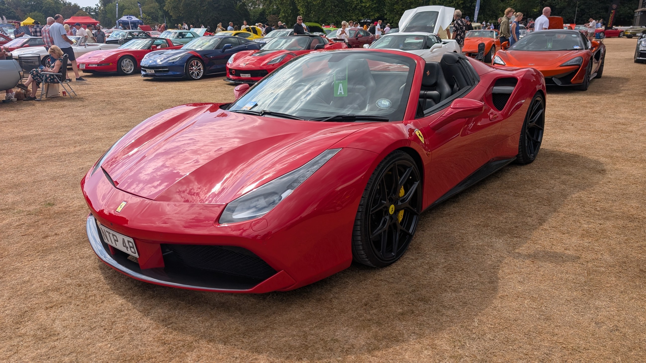 Canford_2026_331.jpg