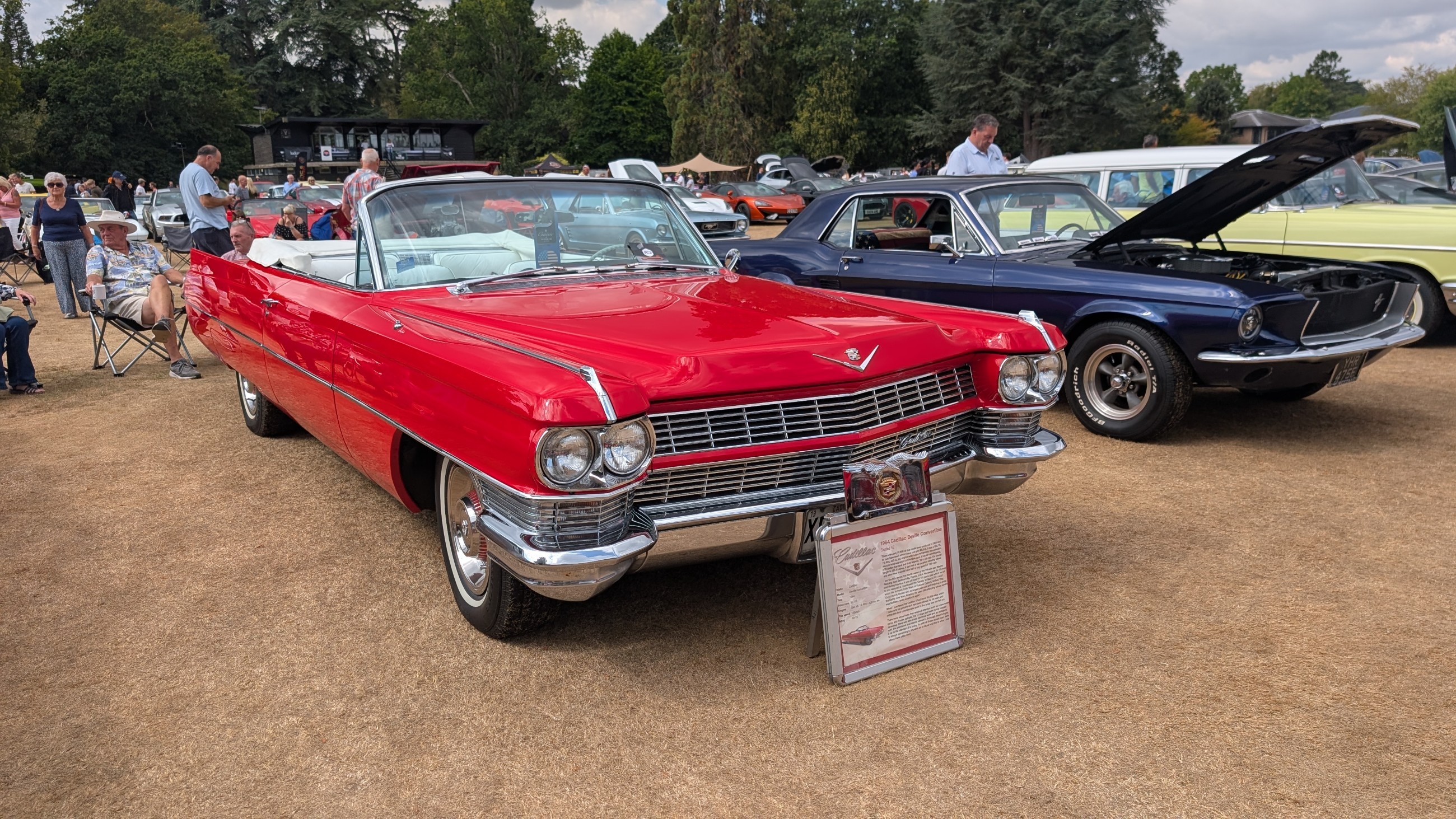 Canford_2026_336.jpg