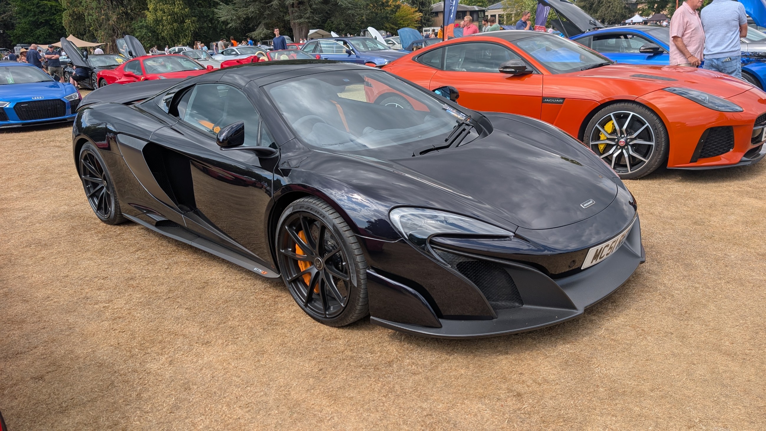 Canford_2026_342.jpg