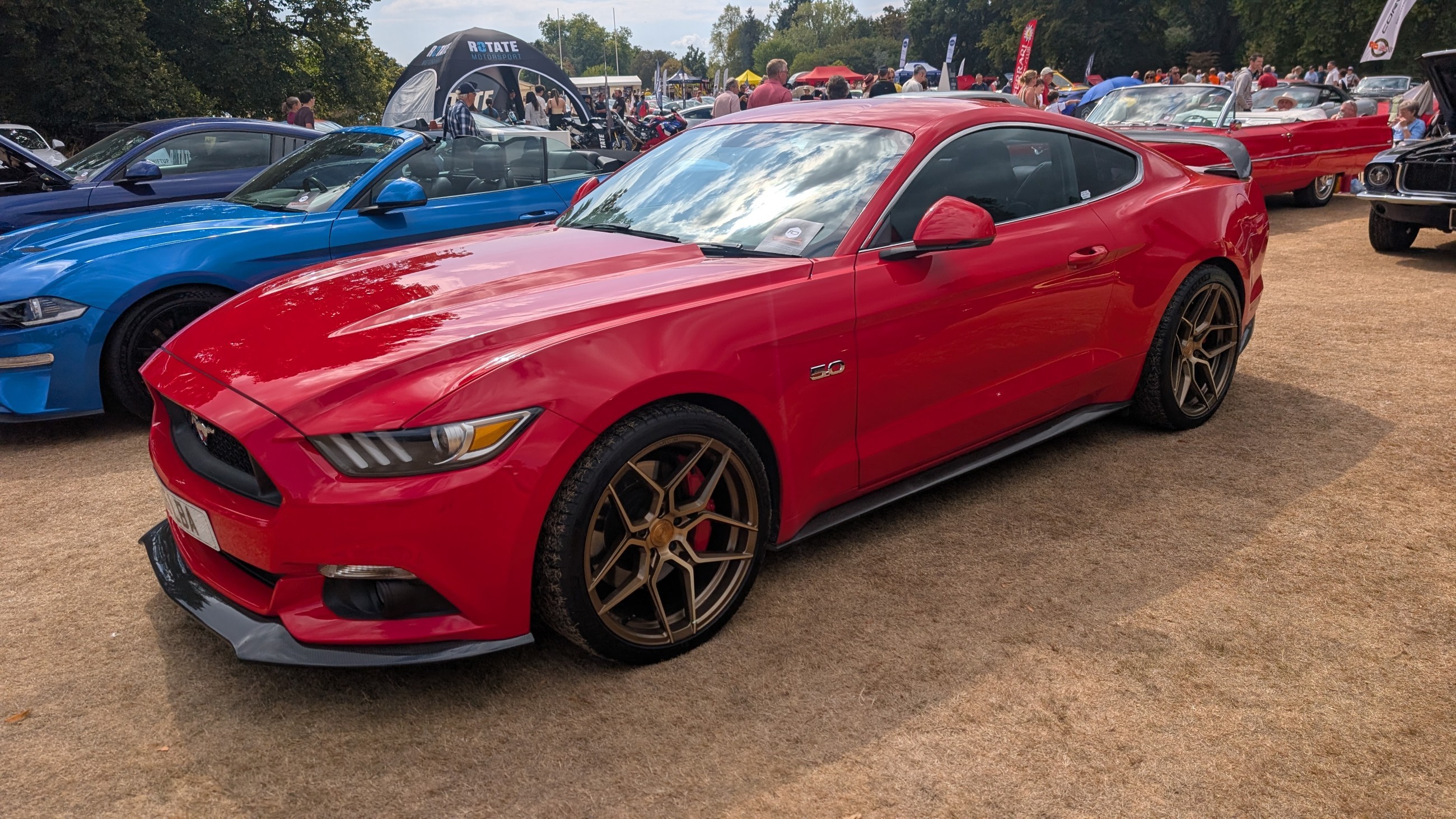 Canford_2026_360.jpg