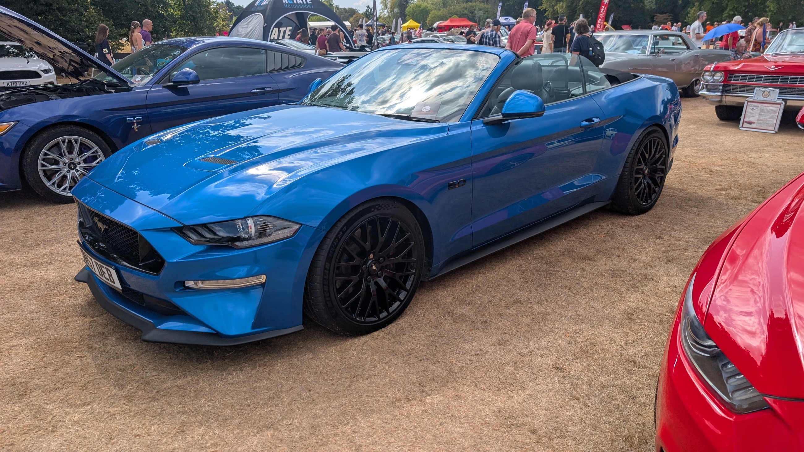 Canford_2026_361.jpg