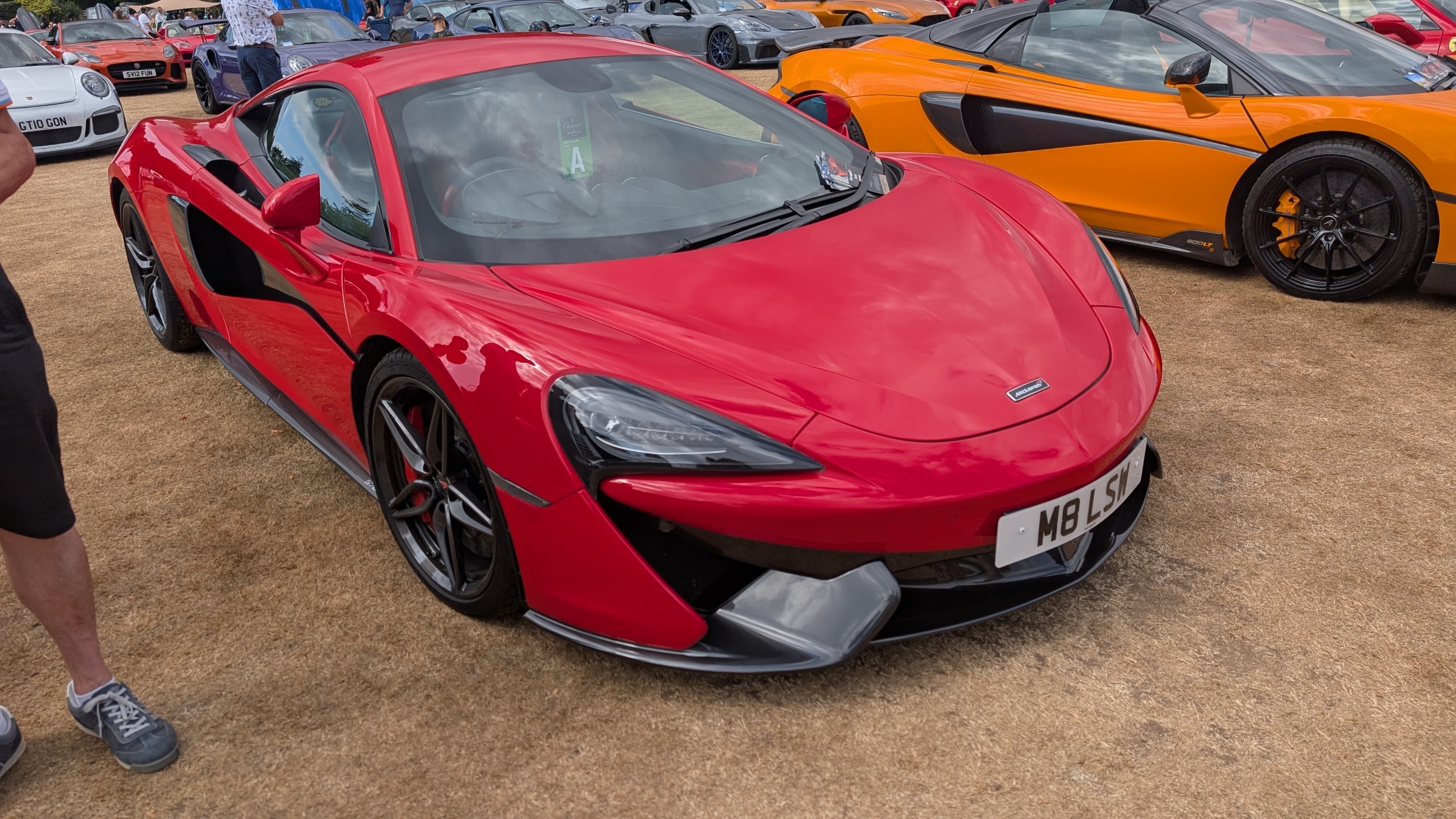Canford_2026_367.jpg