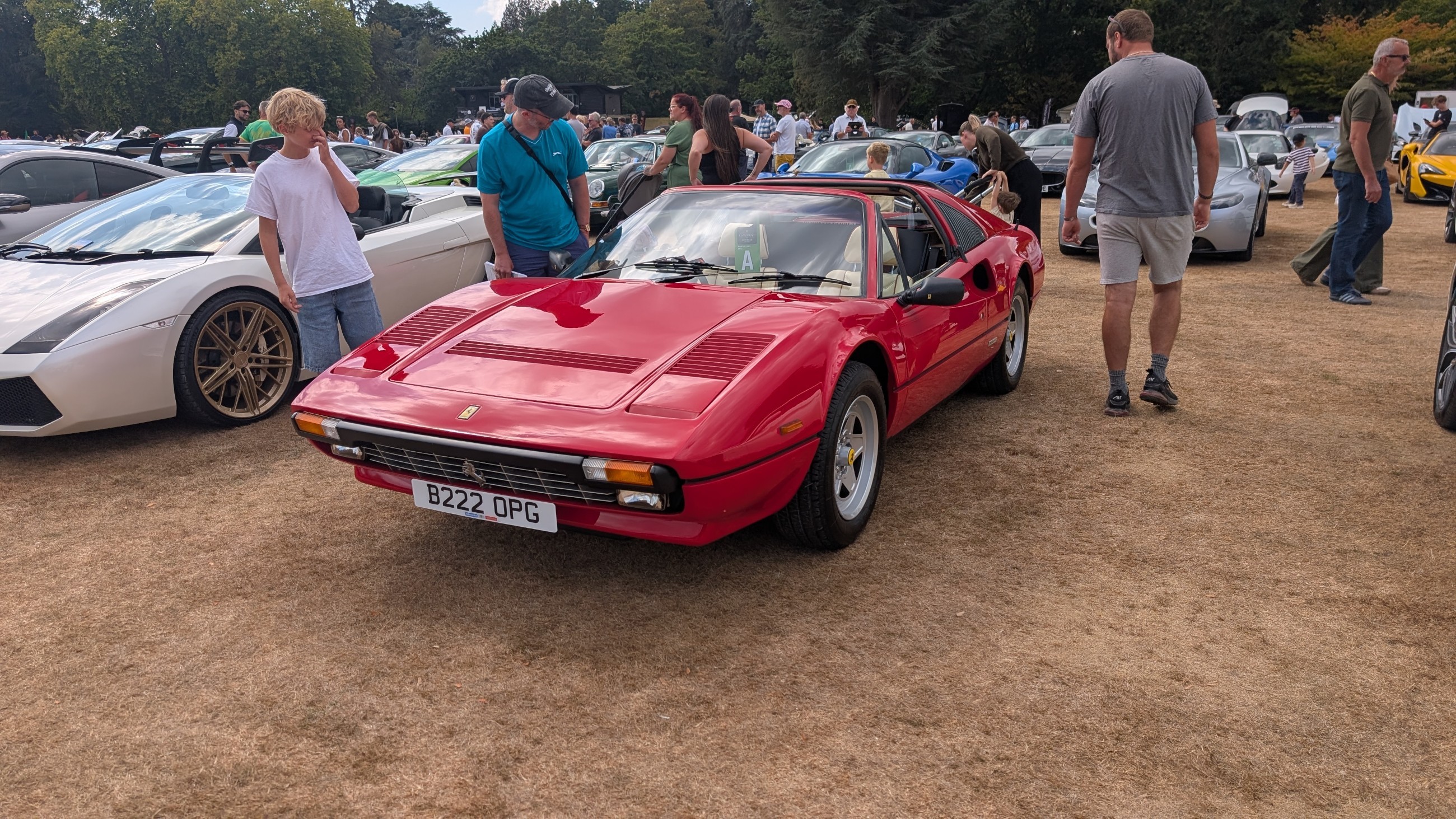 Canford_2026_391.jpg