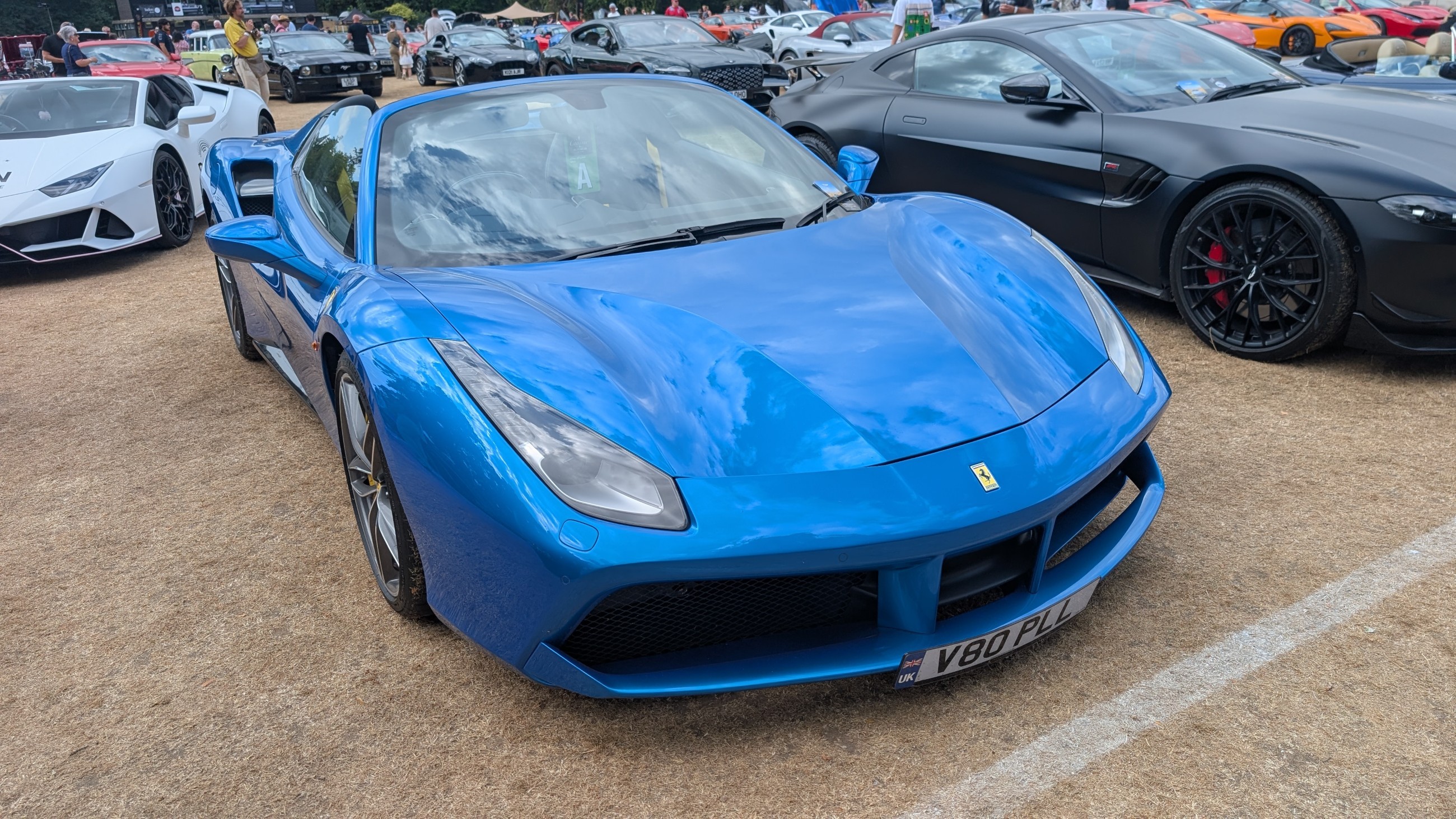 Canford_2026_395.jpg