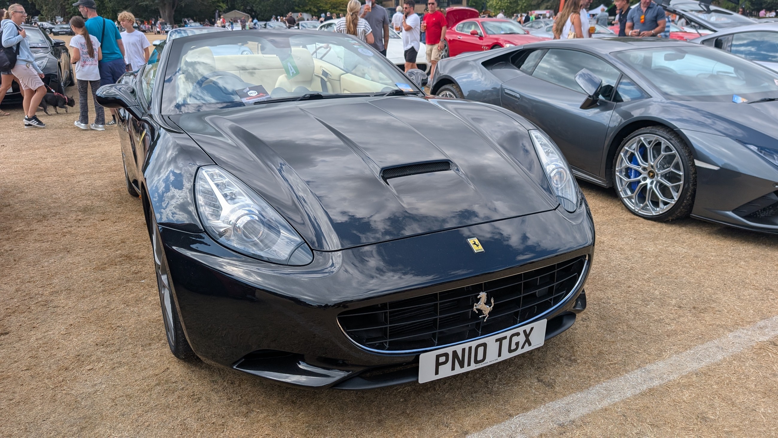 Canford_2026_411.jpg